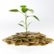 The Role of Outsourcing in Australia Economic Landscape
